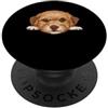 Maltipoo Puppy Lover PS Ritratto ravvicinato del cucciolo di Baby Maltipoo PopSockets PopGrip Adesivo
