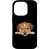 Kangal Puppy Lover PS Custodia per iPhone 14 Pro Ritratto del cane del viso del primo piano del cucciolo di Kangal del bambino