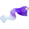 OZLCUA Ventagli di Danza Ventre 1pc ventaglio di Danza del Ventre sfumatura Colore Ballerino Pratica ventagli Seta Imitazione Lunga Colori dell'arcobaleno Oggetti Scena(Color-05)