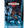 DC Comics Superman/Batman Omnibus Vol. 1