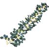 Hiemible Ramo Di Ulivo Luci Fata | 1.8 M Ghirlanda Mensola - 96 LED Con Timer Impermeabile Decorazione Per Pianta Finta - per Parete Giardino Matrimonio Tavolo Centrotavola