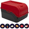 ARTECSIS® 1 x contenitore per patate con coperchio 4 kg (rosso), scatola per verdure e alimenti con 6 etichette