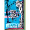 Viz Media Jojo's Bizarre Adventure 7: Part 7--steel Ball Run 8: Volume 8