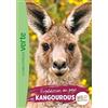 Hachette Jeunesse Expédition au pays des kangourous: 14