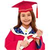 Generico Set Toga e Tocco per Bambini 3-14 Anni Costume da Laureato con Stola Cappello e Nappina 2026 Abito Diploma per Asilo Scuola Materna Primaria Kit Completo Graduazione