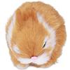 Asixxsix Mini Conigli di Peluche, Peluche Realistico del Coniglietto di Pasqua con Decorazioni per Portico da Giardino da Tavolo per Regalo per l'home Office (ORANGE)