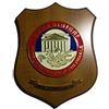 Giemme Crest Carabinieri per la Tutela del Patrimonio Culturale Italia 22,5 x 17,5 cm Giemme prodotto ufficiale