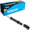 Bilstein 19-213736 Ammortizzatore