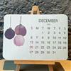Peufcmi Piantabile Semi Avvento Calendari 2026, 12 Months Riciclati Semi Calendario