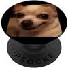 Dog Humor Funny Cute Memes Art (Chihuahu Divertente Carino Chihuahua Viso Sfocato Cane Meme PopSockets PopGrip Adesivo