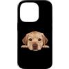 Labrador Retriever Puppy Lover PS Custodia per iPhone 14 Pro Ritratto del cane del viso del primo piano del cucciolo di Labrador Retriever del bambino