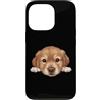 Golden Retriever Puppy Lover PS Custodia per iPhone 13 Pro Ritratto del cane del viso del primo piano del cucciolo di Golden Retriever del bambino