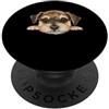 Miniature Schnauzer Puppy Lover PS Ritratto del cane del viso del primo piano del cucciolo di Schnauzer miniatura del bambino PopSockets PopGrip Adesivo
