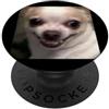Dog Theme Funny Cute Memes Art (Chihuahu Divertente Carino Chihuahua Viso Sfocato Meme Cane Umorismo PopSockets PopGrip Adesivo