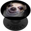 Dog Theme Funny Cute Memes Arts (Chihuah Divertente Chihuahua Viso Sfocato Meme Foto Umorismo PopSockets PopGrip Adesivo