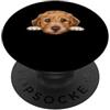 Golden Doodle Puppy Lover PS Ritratto del cane del viso del primo piano del cucciolo di Doodle dorato del bambino PopSockets PopGrip Adesivo