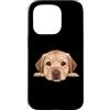 Labrador Retriever Puppy Lover PS Custodia per iPhone 15 Pro Ritratto del cane del viso del primo piano del cucciolo di Labrador Retriever del bambino