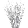 DongArts Rami decorativi di betulla, steli di brich per decorazioni nuziali, ramoscelli secchi per decorazioni natalizie (argento metallizzato)