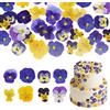 Nymora 40 8 Tipi Naturale Secco Pressato Fiori Commestibili per Kuchentopper-Dekoration - Mixed Viola Tricolore per Cupcaketopper, Cocktail, Epoxidharzschmuck-Herstellung, fai da te