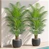 Keeplush Palma artificiale alta 150cm