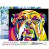 Figured'Art Dipingere con i Numeri con Telaio - Paint by Numbers Bulldog Pop Art, Passatempo per Adulti, Kit Completo, Hobby Creativi - Quadri fai da te 40x50cm Tela Già Incorniciata