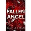 HACHETTE PRAT Fallen Angel