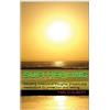 CREATESPACE Sufi Healing: including wonderful thoughts, prayers and meditations for protection and healing
