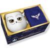 PLAY BAC Mon coffret cocooning Harry Potter: Avec 1 mug et 1 paire de chaussettes