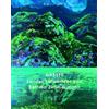 René Kaufmann Bettina Zim Wasser: Landschaftsbilder von Bettina Zim (Tascabile)