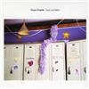 Chuck Prophet Soap and Water (CD) Album