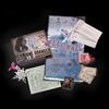 Harry Potter - Hermione Granger Artefact Box ( NN7431 ) ACC NUOVO