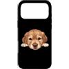 Golden Retriever Puppy Lover PS Custodia per iPhone 17 Pro Max Ritratto del cane del viso del primo piano del cucciolo di Golden Retriever del bambino