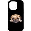Pug Puppy Lover PS Custodia per iPhone 15 Pro Ritratto del cane del primo piano del cucciolo del carlino del bambino