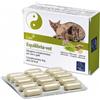 VET PARAF EQUILIBRIA VET 30CPR