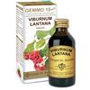 DR.GIORGINI SER-VI Viburno G10+ (Viburnum lantana) - Giorgini Dr. Martino - 100 ml - Integratore alimentare per il benessere dell'apparato respiratorio e della tiroide
