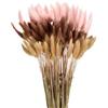 QUARKZMAN 120pz Coda di Coniglio Naturale Fiori Secchi 43cm Mini Erba di Pampa per Decorazioni Floreali Matrimonio Natale, Beige, Rosa Scuro, Marrone Rosso Scuro