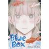 Viz Media, Subs. of Shogakukan Inc Blue Box, Vol. 17: Volume 17