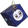 PLAY BAC Harry Potter Coffret mes chaussettes Hedwige: Et mon carnet de notes !