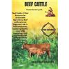 Dr Zainab Williams Beef Cattle (Tascabile)