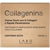 COLLAGENINA CR CONT OCCH GRAD3