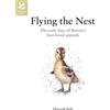 Batsford Flying the Nest: The early days of Britain's best-loved animals (National Trust Art & Illustration)