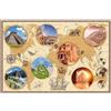 Ravensburger Nathan - Puzzle da 3000 pezzi - Meraviglie del mondo moderno - Adulti e bambini a partire dai 14 anni - Puzzle di alta qualità - Misura perfetta - Collezione Escape - 12001548