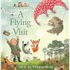 HARPERCOLLINSCHILDREN'SBOOKS A Flying Visit: A funny illustrated picture book for children from the creator of One Snowy Night