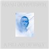Cooking Vinyl / Indigo A Pillar of Salt