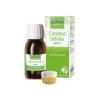 Carpinus Betulus Gemme 60ml
