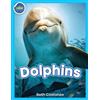 Beth Costanzo Dolphins! (Tascabile)