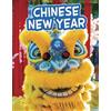 Sharon Katz Cooper Chinese New Year (Tascabile) Traditions & Celebrations