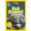 Jennifer Szyman Real Dragons! (National Geographic Kids Reade (Copertina rigida)