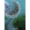 Kayla Jones Where Worlds Split Under the Moonlight (Tascabile)