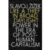Slavoj Zizek Like a Thief in Broad Daylight (Tascabile)